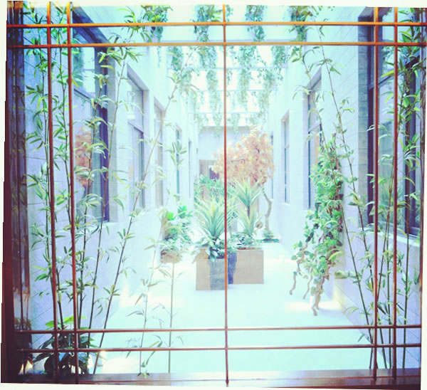 空中花園.jpg
