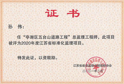 江蘇省標(biāo)準(zhǔn)化監(jiān)理項目_孫偉（2020年度）