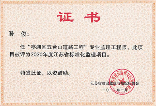 江蘇省標(biāo)準(zhǔn)化監(jiān)理項目_孫俊（2020年度）