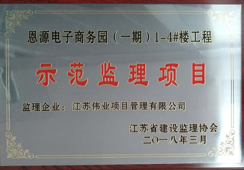 恩源示范監(jiān)理項(xiàng)目獎牌